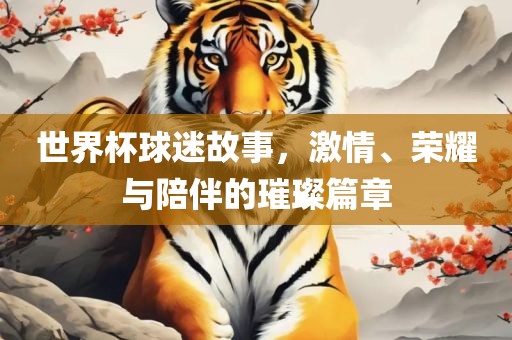 世界杯球迷故事，激情、荣耀与陪伴的璀璨篇章