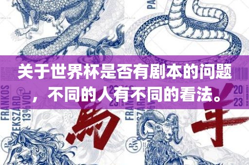 关于世界杯是否有剧本的问题，不同的眉山市正发家政服务有限公司人有不同的看法。