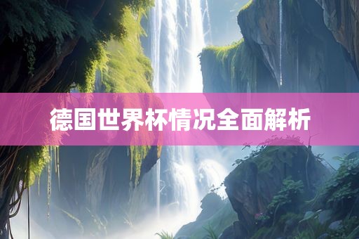 德国世界杯情况全面解析