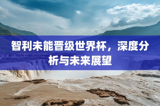 智利未能晋级世界杯，深度分析与未来展望眉山市正发家政服务有限公司
