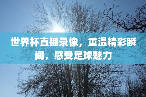 世界杯直播录像，重温精彩瞬间，感受足球魅力眉山市正发家政服务有限公司