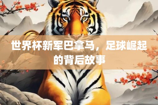 世界杯新军巴拿马，足球崛起的背后故事眉山市正发家政服务有限公司