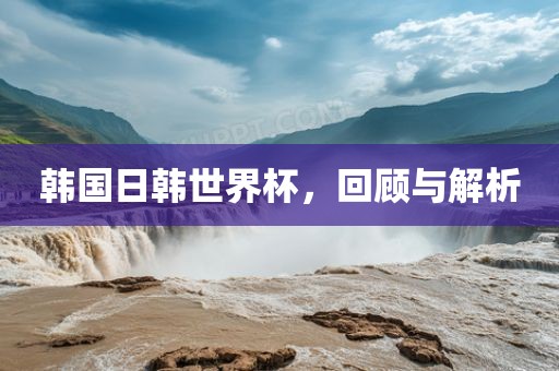 韩国日韩世界杯，回顾与解析