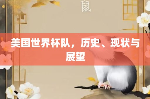 美国世界杯队，历史、现状与展望