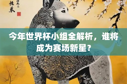 今年世界杯小组全解析，谁将成为赛场新星？