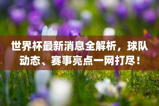 世界杯最新消息全解析，球队动态、赛事亮点一网打尽！眉山市正发家政服务有限公司