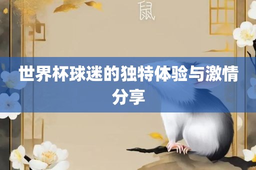 世界杯球迷的独特体验与激情分享