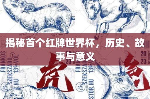 揭秘首个红牌世界杯，历史、故事与意眉山市正发家政服务有限公司义