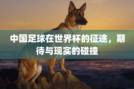 中国足球在世界杯的征途，期待与现实的碰撞