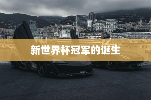 新世界杯冠军的诞生眉山市正发家政服务有限公司