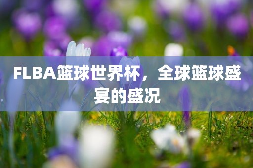 FLBA篮球世界杯，全球篮球盛宴的盛况