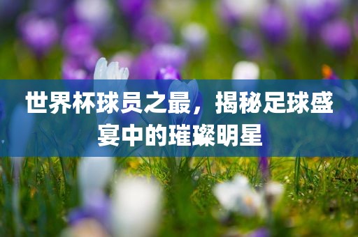 世界杯球员之最，揭秘足球盛宴中的璀璨明星