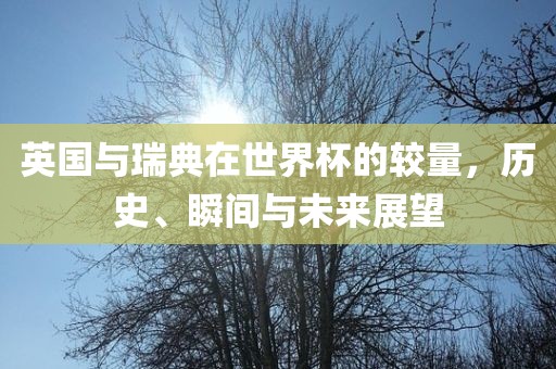 英国与瑞典在世界杯的较量，历史、瞬间与未来展望