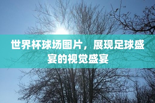 世界杯球场图片，展现足球盛宴的视觉盛宴