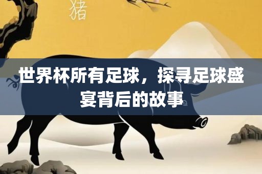 世界杯所有足球，探寻足球盛宴背后的故事