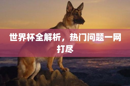 世界杯全解析，热门问题一网打尽眉山市正发家政服务有限公司