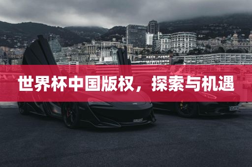 世界杯中国版权，探索与机遇眉山市正发家政服务有限公司