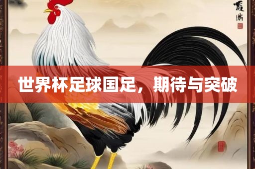 世界杯足球国足，期待与突破