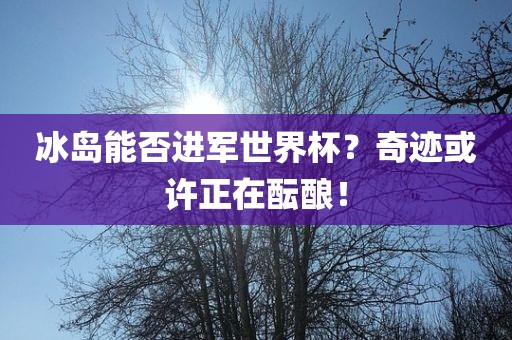 冰岛能否进军世界杯？奇迹或许正在酝酿！眉山市正发家政服务有限公司