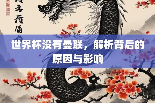 世界杯没有曼联，解析背后的原因与影响