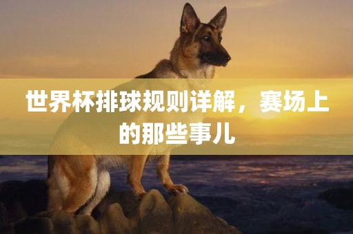 世界杯排球规则详解，赛场上的那些事儿眉山市正发家政服务有限公司
