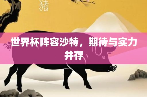 世界杯阵容沙特，期待与实力并存
