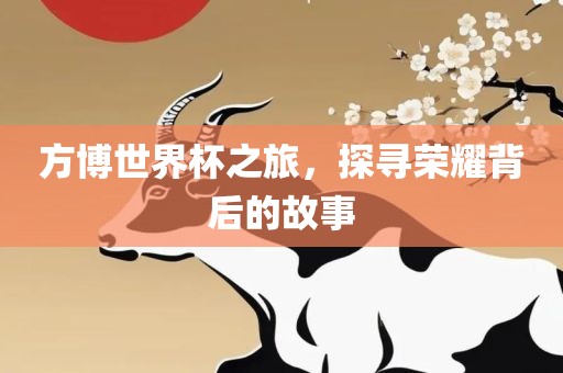 方博世界杯之旅，探寻荣耀背后的故事