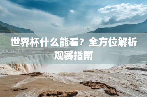 世界杯什么能看？全方位解析观赛指南