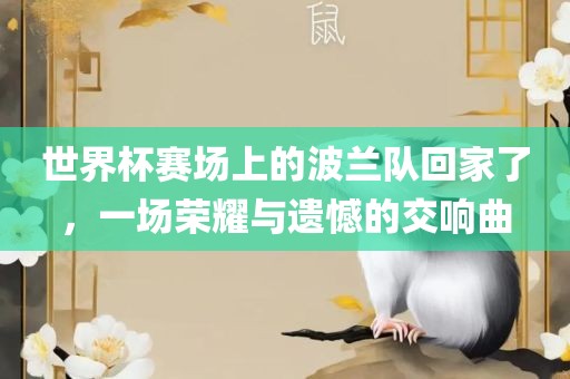 世界杯赛场上的波兰队回家了，一场荣耀与遗憾的交响曲眉山市正发家政服务有限公司