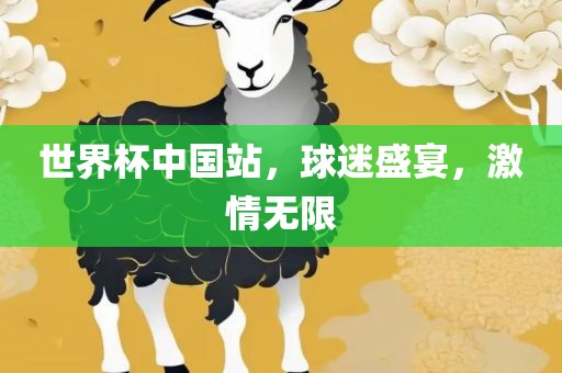 世界杯中国站，球迷盛宴，激情无限