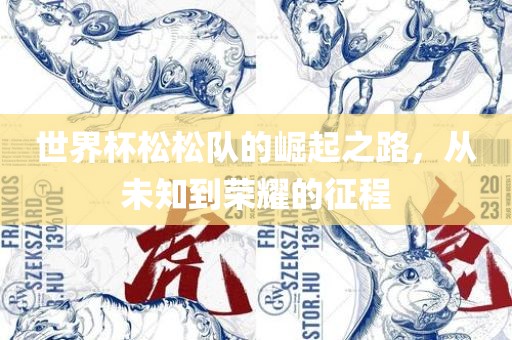 世界杯松松队的崛起之路，从未知到荣耀的征程眉山市正发家政服务有限公司
