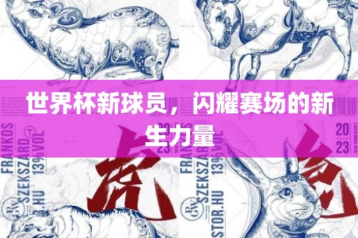 世界杯新球员，闪耀赛场的新生力量眉山市正发家政服务有限公司