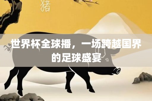 世界杯全球播，一场跨越国界的足球盛宴