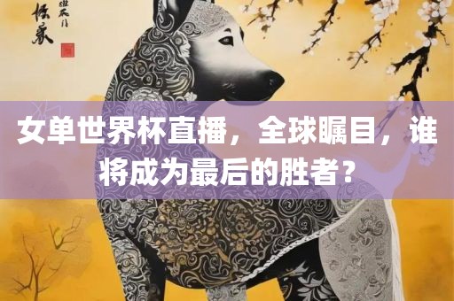 女单世界杯直播，全球瞩目，谁将成为最后的胜者？
