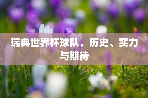 瑞典世界杯球队，历史、实力与期待