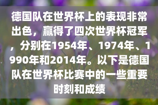 世界杯冠军