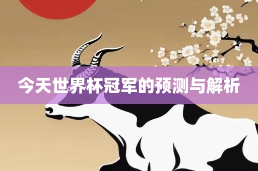 今天世界杯冠军的预测与解析