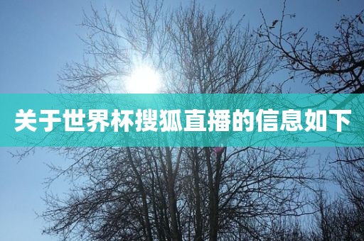 关于世界杯搜狐直播的信息如下