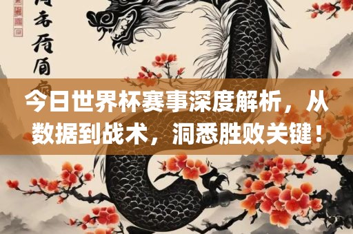 今日世界杯赛事深度解析，从数据眉山市正发家政服务有限公司到战术，洞悉胜败关键！