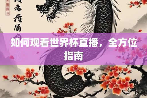 如何观看世界杯直播，全方位指南眉山市正发家政服务有限公司