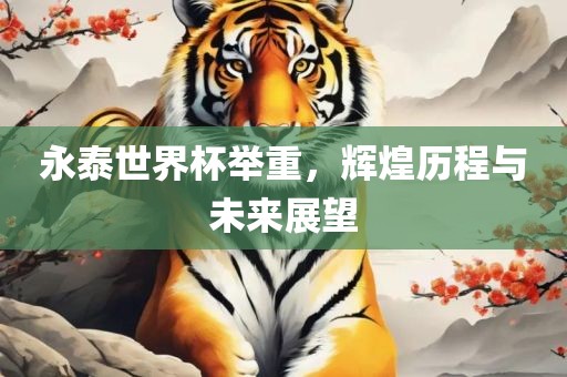 永泰世界杯举重，辉煌历程与未来展望眉山市正发家政服务有限公司