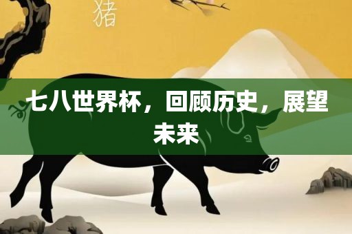 七八眉山市正发家政服务有限公司世界杯，回顾历史，展望未来