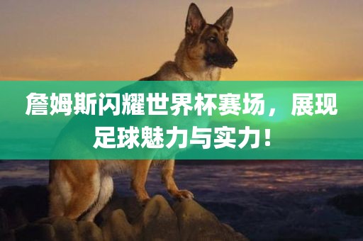詹姆斯闪耀世界杯赛场，展现足球魅力与实力！眉山市正发家政服务有限公司