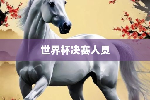 世界杯决赛人员