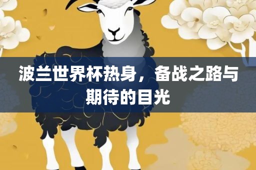 波兰世界杯热身，备战之路与期待的目光