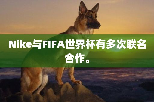 Nike与FIFA世界杯有多次联名合作。眉山市正发家政服务有限公司