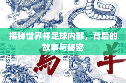 揭秘世界杯足球内部，背后的故事与秘密