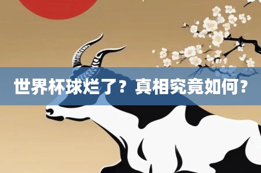 世界杯球烂了？真相究竟如何？