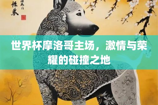世界杯摩洛哥主场，激情与荣耀的碰撞之地