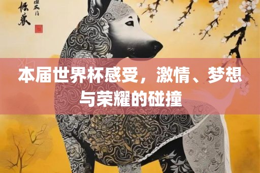 本届世界杯感受，激情、梦想与荣耀的碰撞